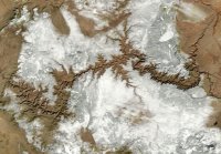 image-download (1).jpg