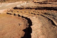 Coyote South-107.jpg