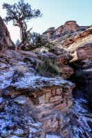 1-1 Confluence Overlook-12.jpg