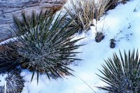 1-1 Confluence Overlook-27.jpg