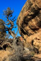 1-1 Confluence Overlook-70.jpg