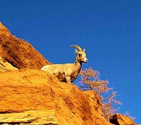 2015-11-13 23.03.16.jpg