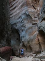 Zion Narrows 115.JPG
