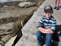 IMG_3159.jpg IMG_3159.jpg