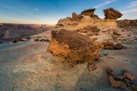 _MG_4510.jpg _MG_4510.jpg