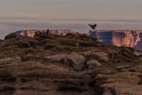 _MG_4156.jpg _MG_4156.jpg