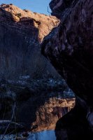 1-12 Negro Bill-24.jpg