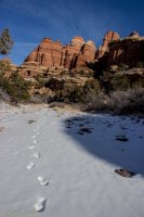 1-13 Druid Arch-37.jpg