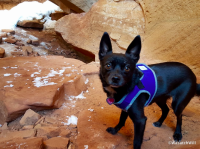 upload_2016-1-22_9-13-44.png upload_2016-1-22_9-13-44.png