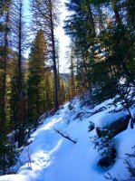 IMG_0291.jpg IMG_0291.jpg