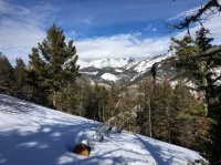 IMG_0300.jpg IMG_0300.jpg