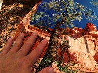 IMG_0508.JPG IMG_0508.JPG