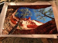 IMG_0503.JPG IMG_0503.JPG