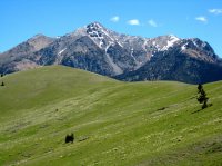 IMG_0969.jpg IMG_0969.jpg