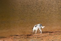 6968-lake-powell-1050px.jpg 6968-lake-powell-1050px.jpg