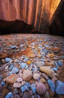 7189-smith-fork-glen-canyon-700px.jpg 7189-smith-fork-glen-canyon-700px.jpg