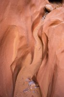 7253-smith-fork-glen-canyon-700px.jpg 7253-smith-fork-glen-canyon-700px.jpg