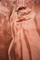 7279-smith-fork-glen-canyon-700px.jpg 7279-smith-fork-glen-canyon-700px.jpg