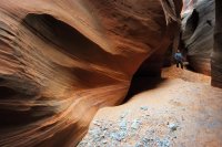 7334-smith-fork-glen-canyon-1050px.jpg 7334-smith-fork-glen-canyon-1050px.jpg