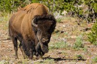 _MG_1675.jpg _MG_1675.jpg