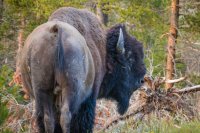 _MG_1639.jpg _MG_1639.jpg