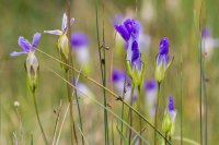 _MG_1593.jpg _MG_1593.jpg