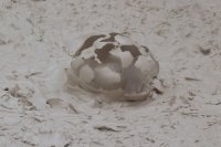 _MG_1583.jpg _MG_1583.jpg