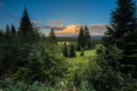 _MG_0671-HDR.jpg _MG_0671-HDR.jpg