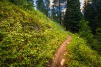 _MG_0675.jpg _MG_0675.jpg