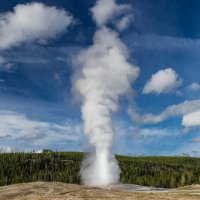 _MG_0185.jpg _MG_0185.jpg