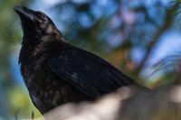 _MG_0830.jpg _MG_0830.jpg