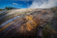 _MG_0236.jpg _MG_0236.jpg