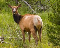 _MG_1613.jpg _MG_1613.jpg