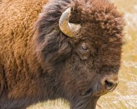 _MG_1731.jpg _MG_1731.jpg