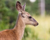 _MG_1767.jpg _MG_1767.jpg