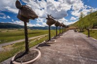 _MG_0874.jpg _MG_0874.jpg