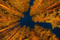 _MG_1311.jpg _MG_1311.jpg