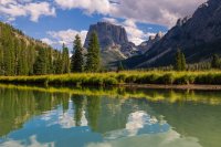 _MG_1239.jpg _MG_1239.jpg