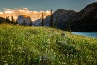 _MG_1130.jpg _MG_1130.jpg