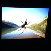 IMG_4470.jpg IMG_4470.jpg