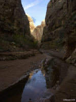 upload_2016-2-8_13-35-24.png upload_2016-2-8_13-35-24.png