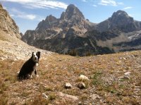 IMG_2369.JPG IMG_2369.JPG