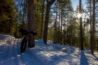 bcp-9875.jpg bcp-9875.jpg