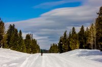 bcp-9886.jpg bcp-9886.jpg