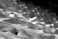 bcp-9900.jpg bcp-9900.jpg