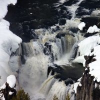 bcp-9901.jpg bcp-9901.jpg