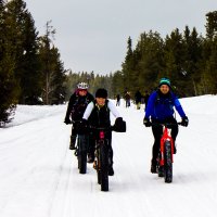 bcp-9911.jpg bcp-9911.jpg