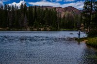 DSC_4498.jpg DSC_4498.jpg