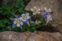 DSC_4546.jpg DSC_4546.jpg