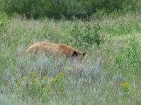 2012-07-28 01.18.59.jpg